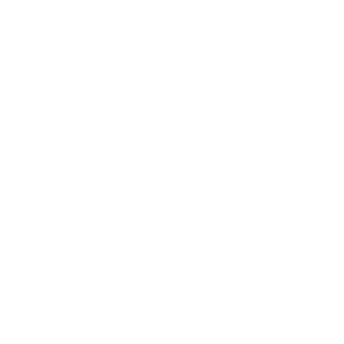 carnaval-animal